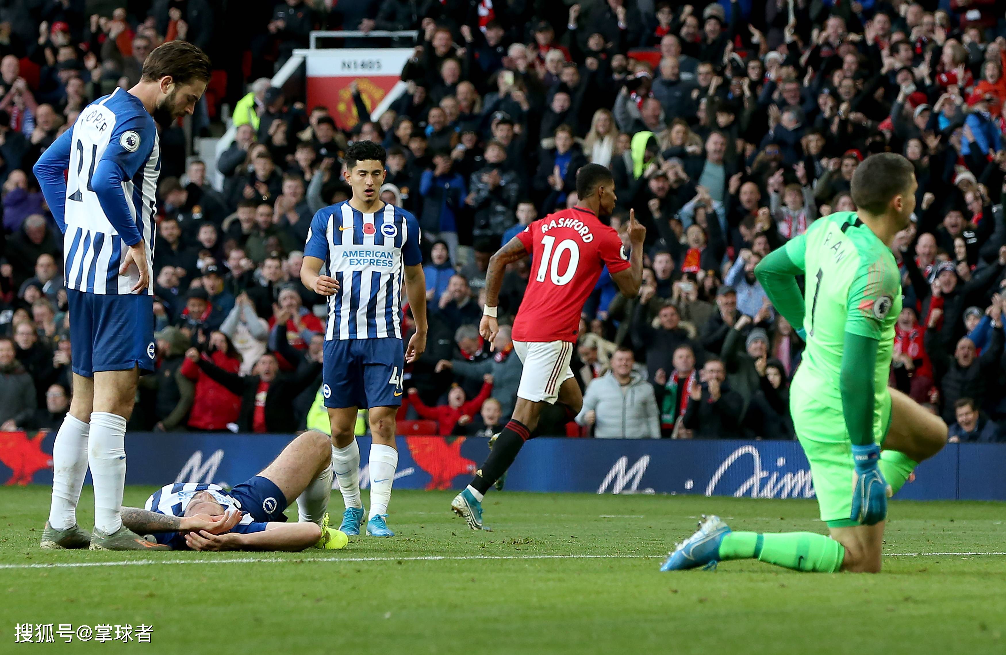 的专业指导 的专业指导